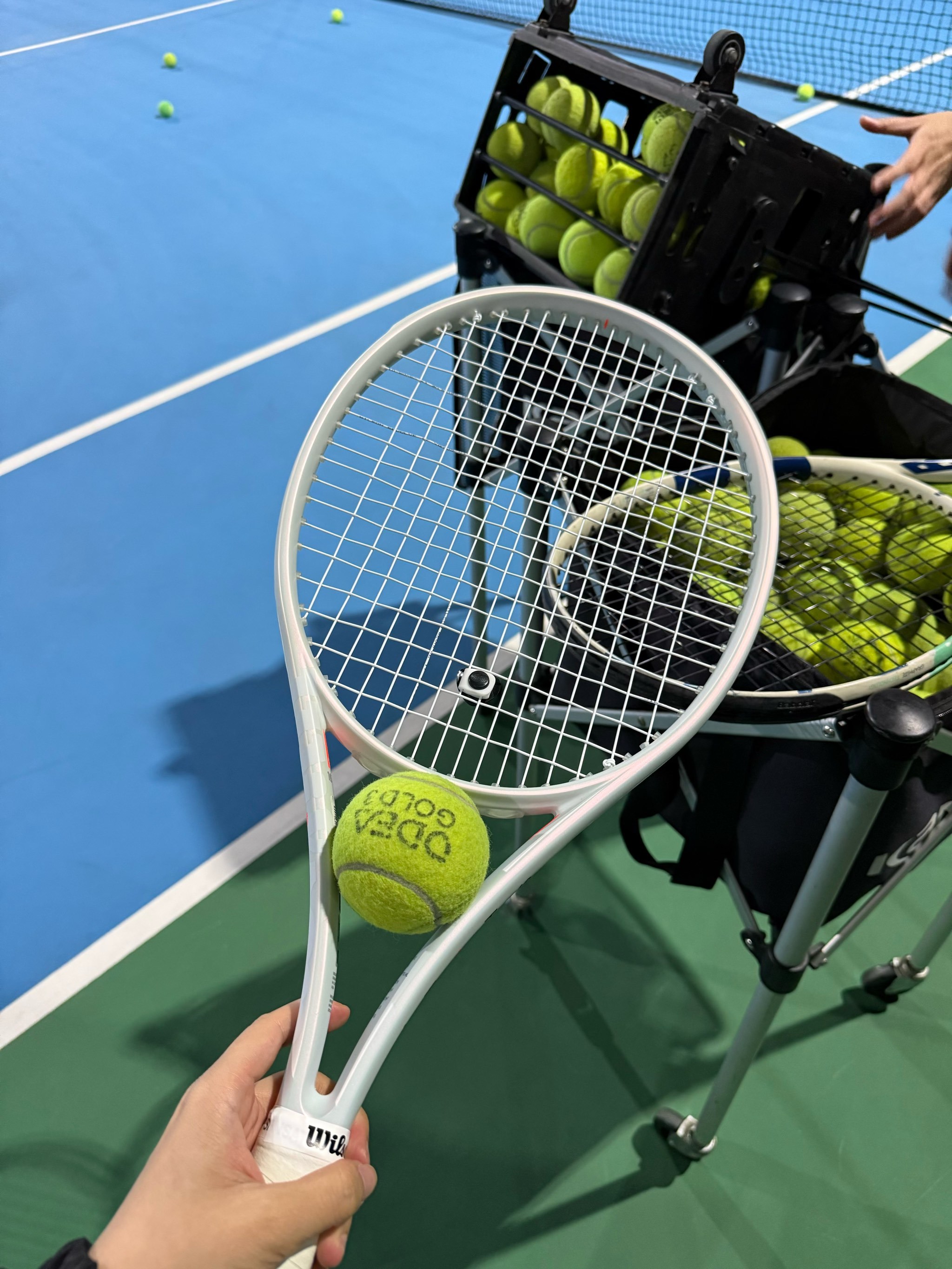 战全胜的成 战全胜的成