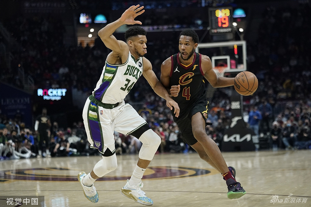 了职业篮球 了职业篮球