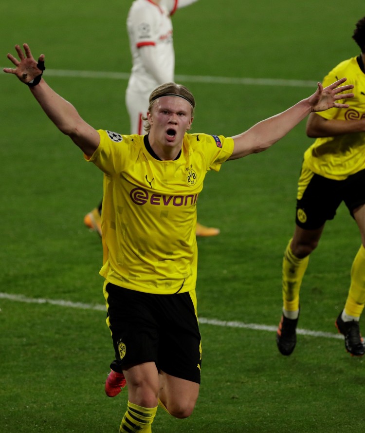 教练组细致 教练组细致