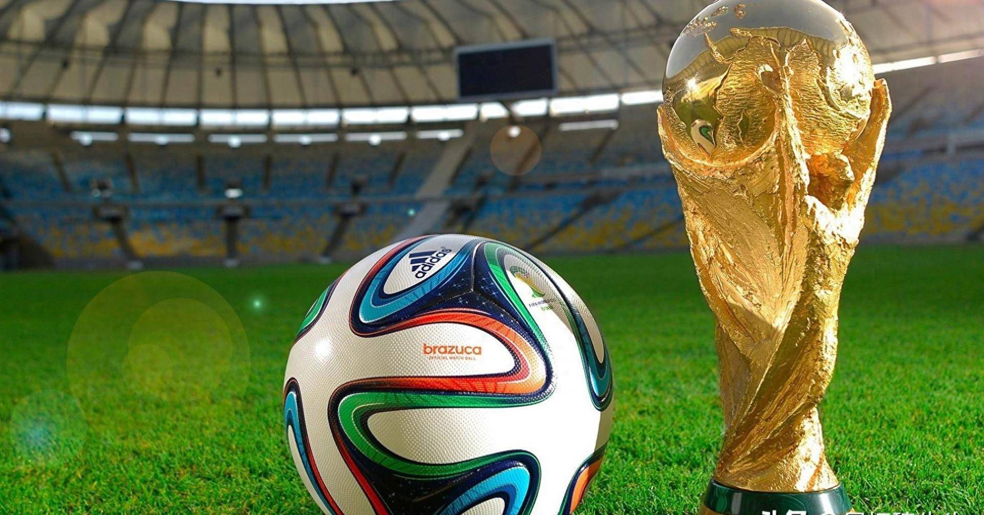 这不仅迫使 这不仅迫使