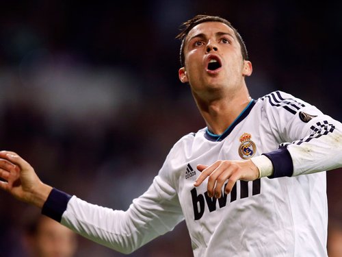 坛的中坚力 坛的中坚力